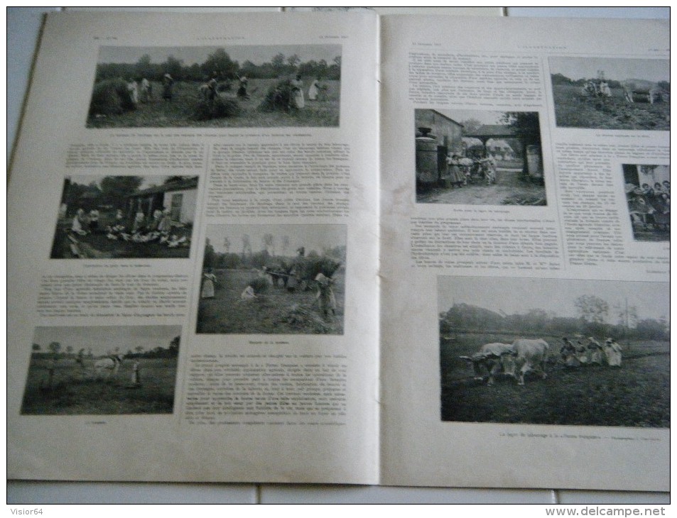 L´Illustration 13 octobre  1917- ENSEIGNEMENT  AGRICOLE F- SUCCES DE L'ARMEE D'ORIENT-OFFENSIVE LANDRES-3 MATS-POGRADEK