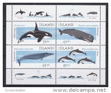 Iceland 1999 Orcas / Whales M/s ** Mnh (18176) - Blokken & Velletjes