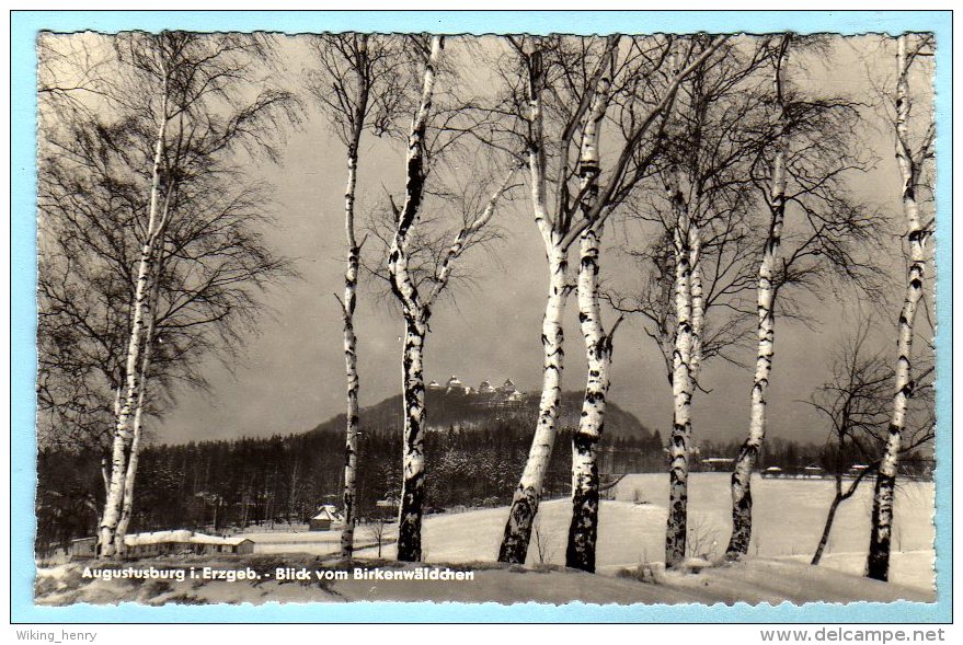 Augustusburg - S/w Blick Vom Birkenwäldchen 1 - Augustusburg