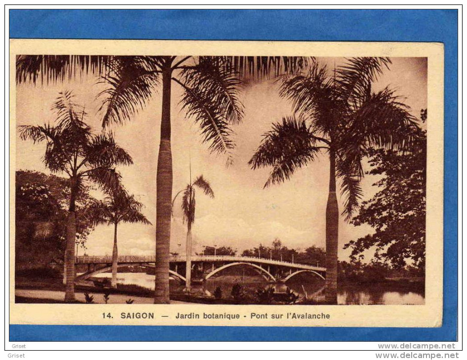 INDOCHINE-SAIGON-- Jardin  - Botanique--pont Sur L Avalanche -éditeur Nadal-années 20 - Vietnam