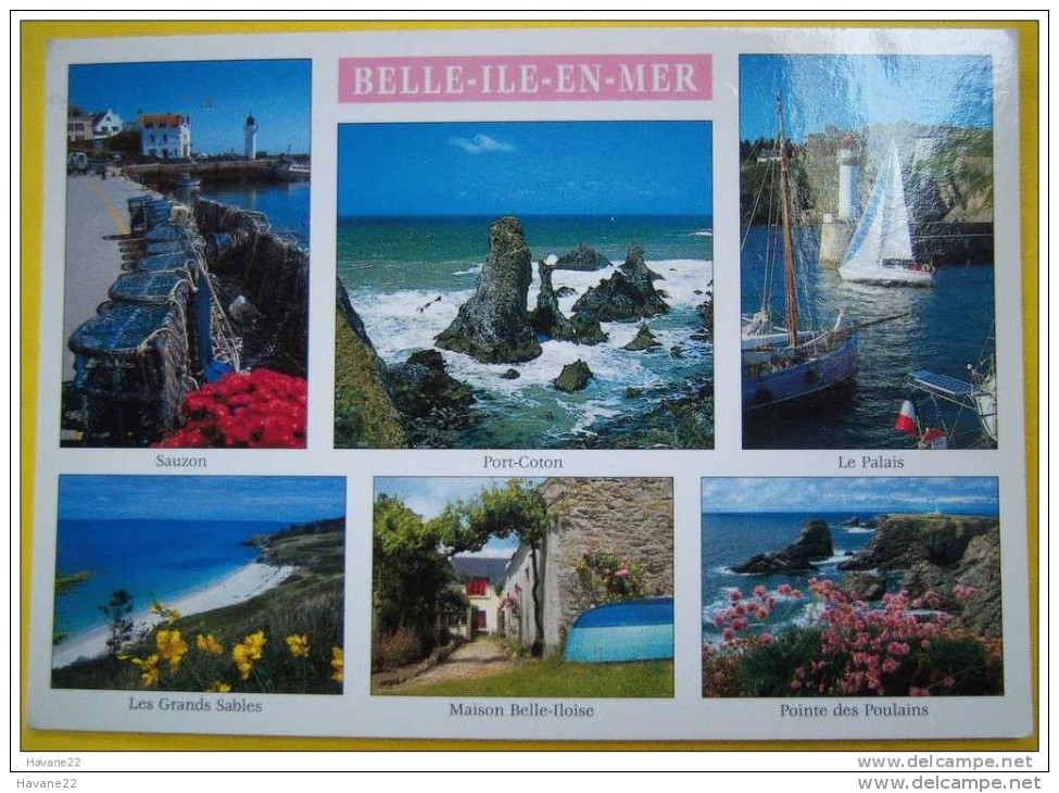 J290 56 BELLE ILE EN MER  Multi Vues   1999 2 SCANS Timbre Assistance Publique - Belle Ile En Mer