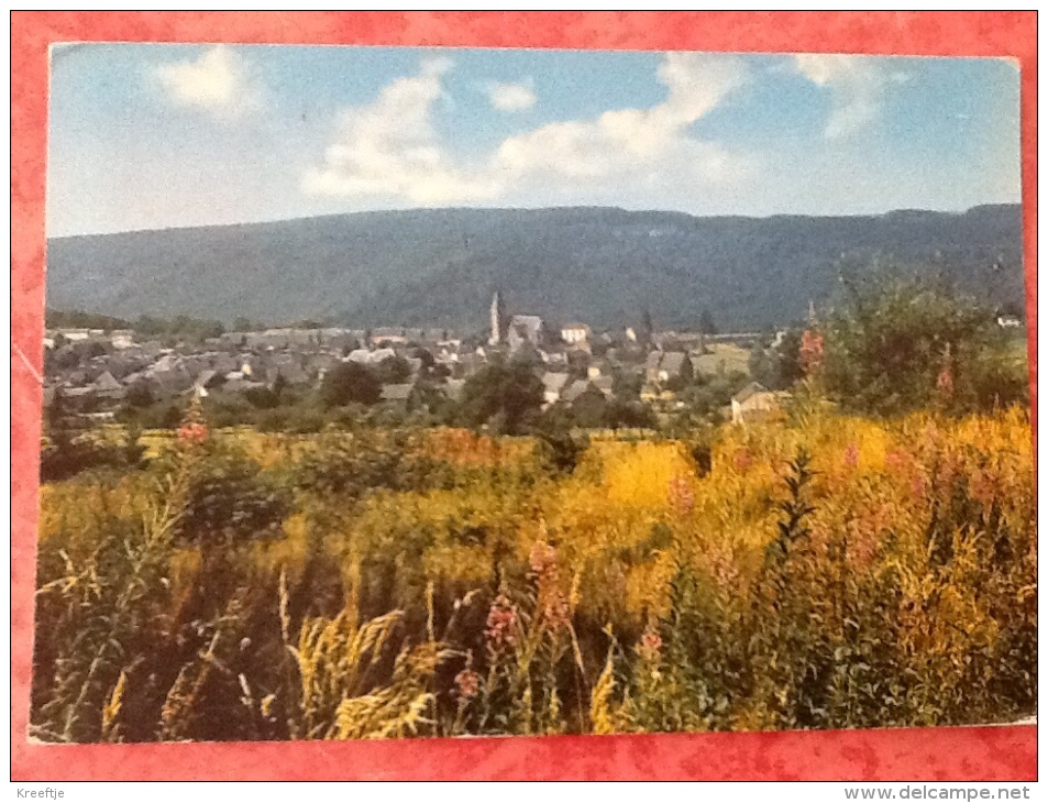 Herbeumont Sur Semois. Panorama 1970 - Herbeumont