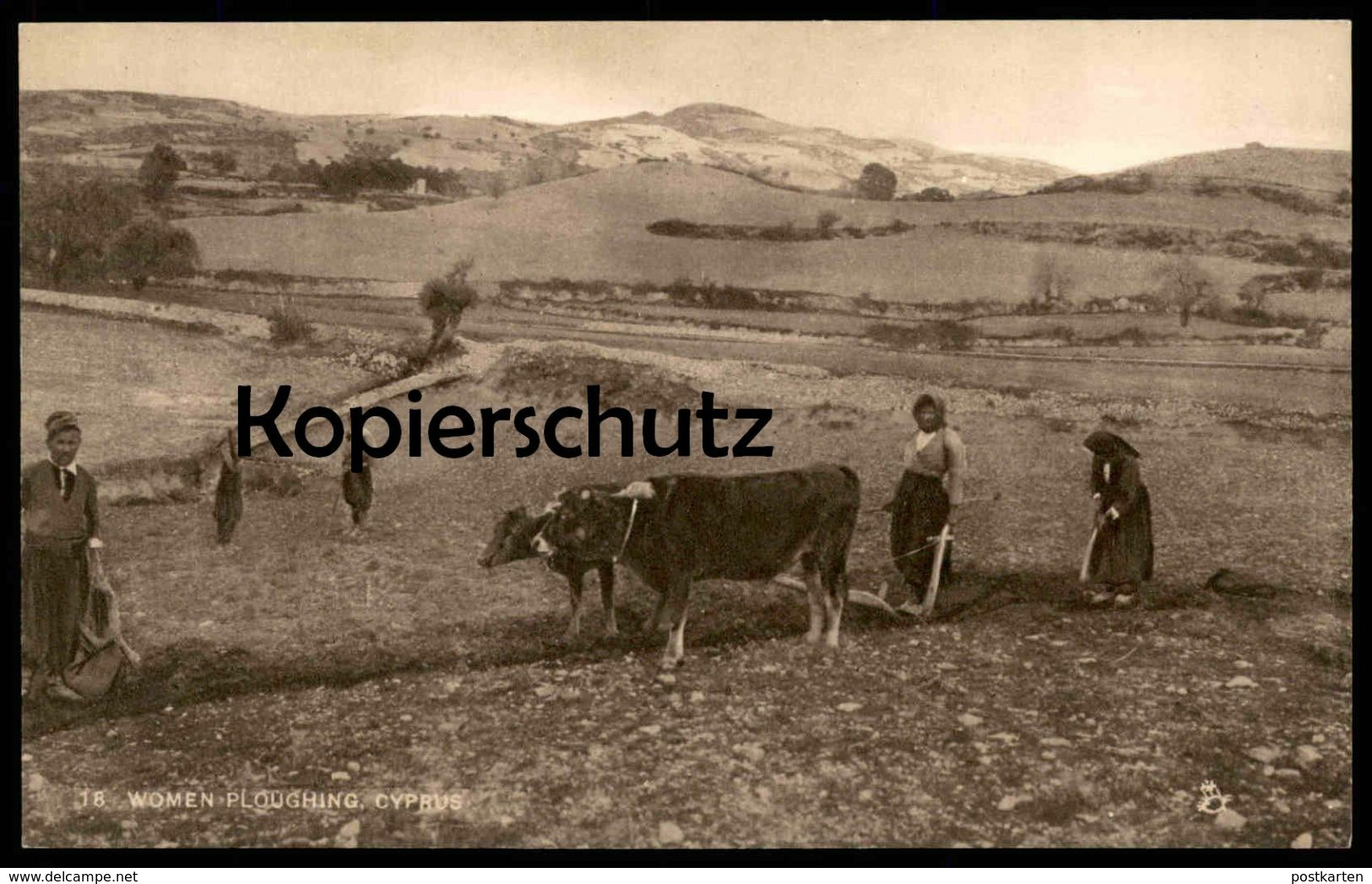 ALTE POSTKARTE WOMEN PLOUGHING CYPRUS RAPHAEL TUCK'S POSTCARD Farmer Bauer Kühe Cows Vaches Chypre Zypern Cultivateur AK - Chypre
