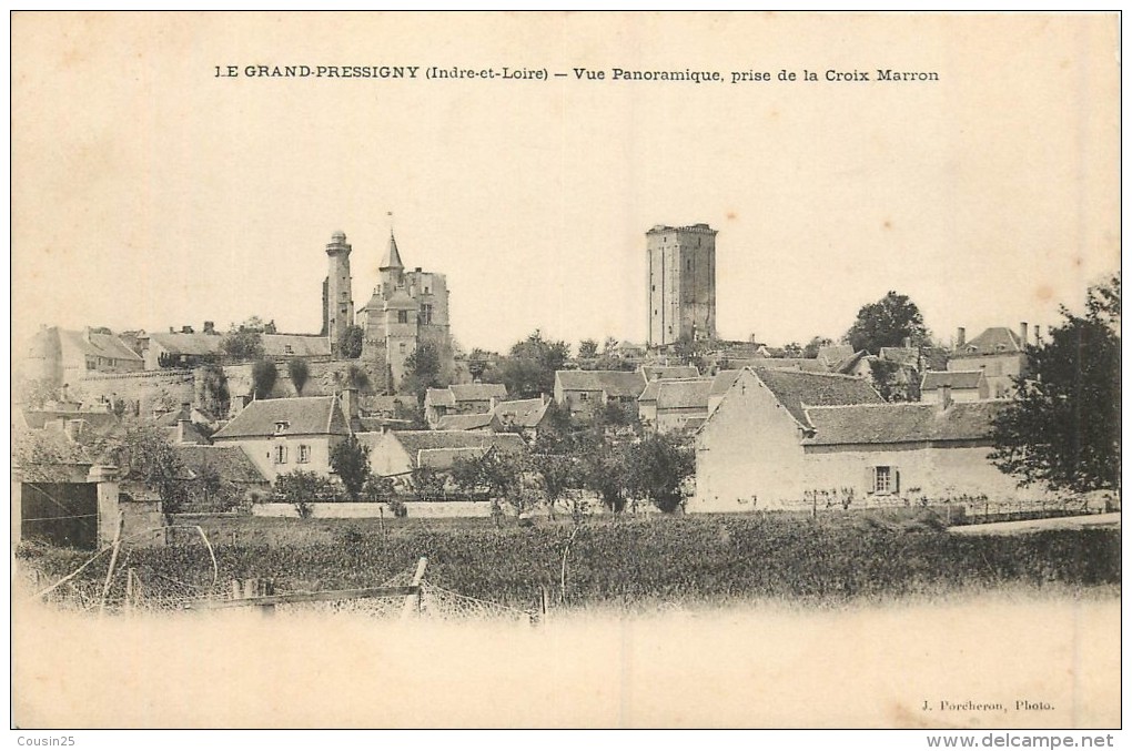 37 LE GRAND PRESSIGNY - Vue Panoramique Prise De La Croix Marron - Le Grand-Pressigny