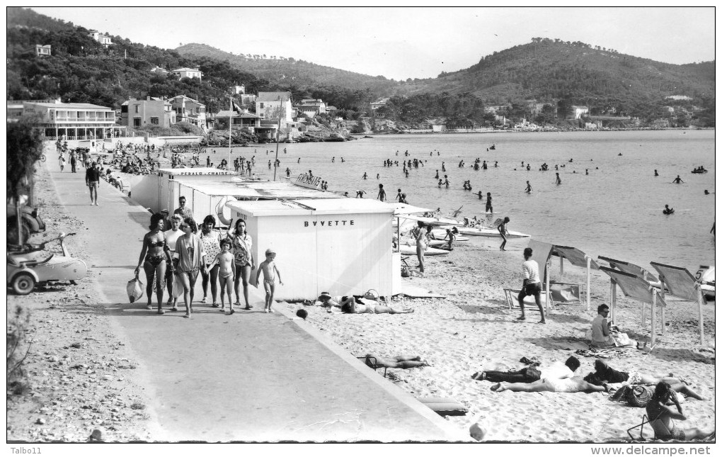 Saint Cyr Sur Mer - La Plage Et Le Tapis De Sable - Saint-Cyr-sur-Mer