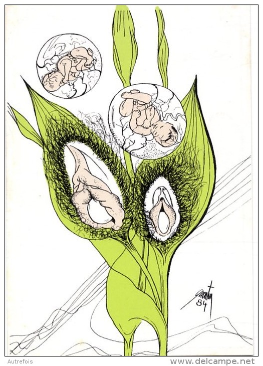 FLEUR DE MALE  -   SIZI L ESCARGOT N° 273  -   ILLUSTRATION DE E. QUENTIN  -  1984 - Quentin