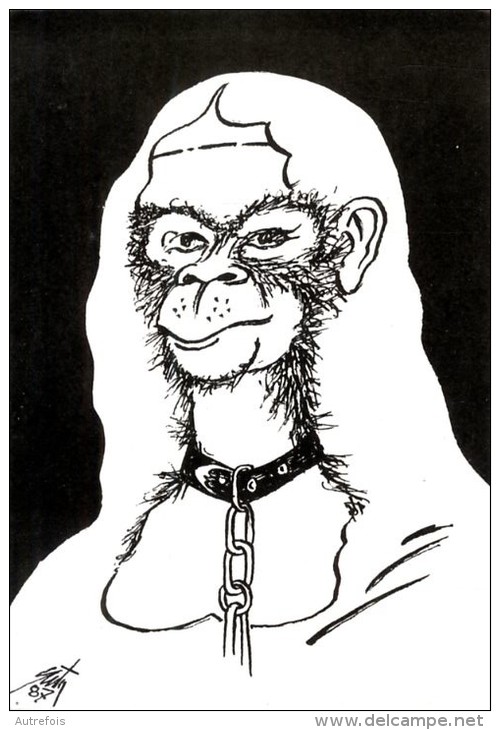 SINGE  -   ILLUSTRATION DE E. QUENTIN  -  1987 - Quentin