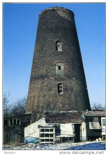 ZWIJNDRECHT (Antw.) - Molen/moulin - Winteropname Van De Verdwenen Romp Van Molen Ten Hove In 1985. Afbraak: 1993. - Zwijndrecht