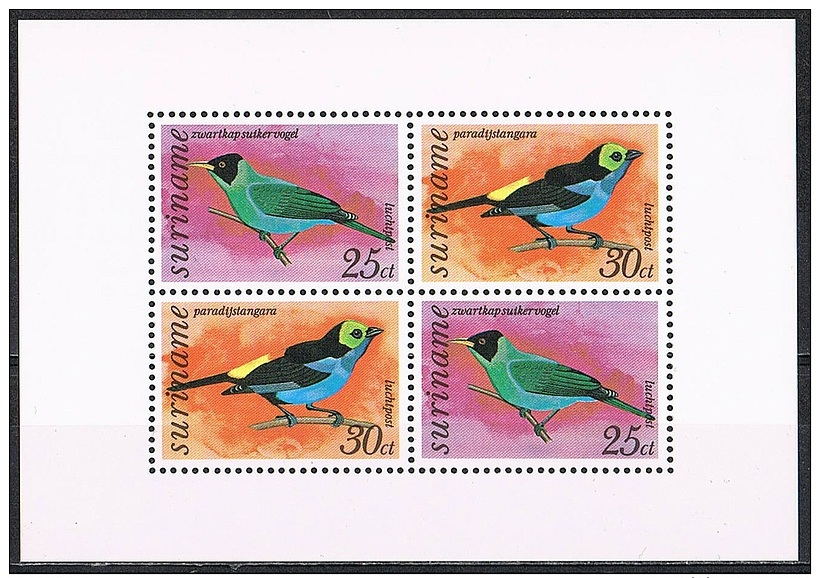 K603 FAUNA VOGELS BIRDS OISEAUX VÖGEL AVES SURINAME 1973 PF/MNH - Autres & Non Classés