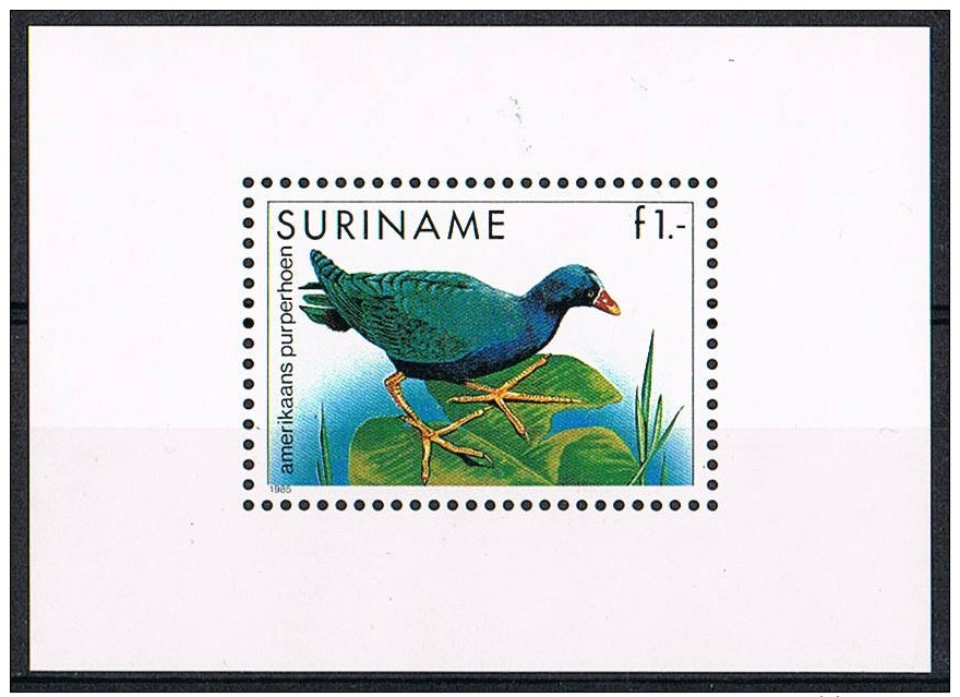 K609 FAUNA VOGELS BIRDS OISEAUX VÖGEL AVES HUHN SURINAME 1985 PF/MNH - Autres & Non Classés