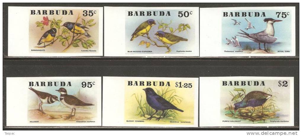 Barbuda 1976 Mi# 261-266 U ** MNH - Imperf. - Birds - Barbuda (...-1981)