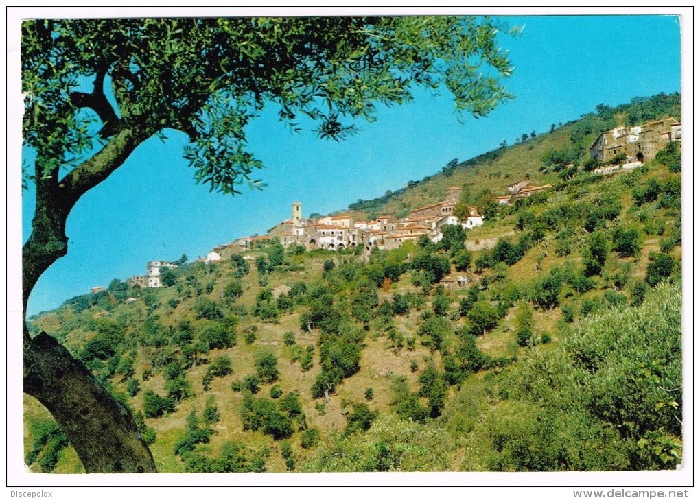 K1568 Pollica (Salerno) - Panorama / Viaggiata - Altri & Non Classificati