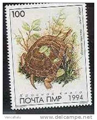 Belowdnestr Rep. 1994 - Turtle, 1 Stamp, MNH - Tortues