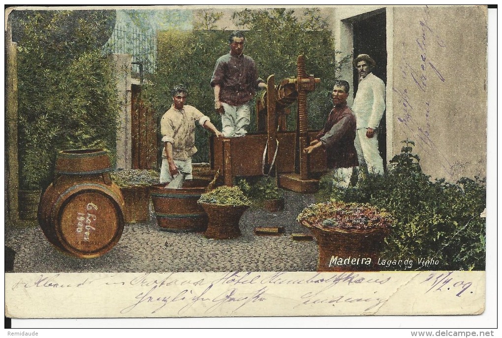 PORTUGAL - FUNCHAL MADEIRA - 1909 - CARTE POSTALE (PRESSOIR à VINS) Pour OFFENBACH (GERMANY) - Lettres & Documents