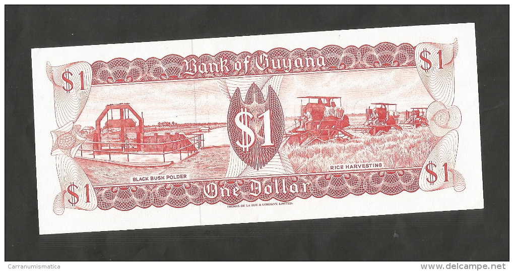 GUYANA - BANK Of GUYANA - 1 DOLLAR (1989) - Guyana