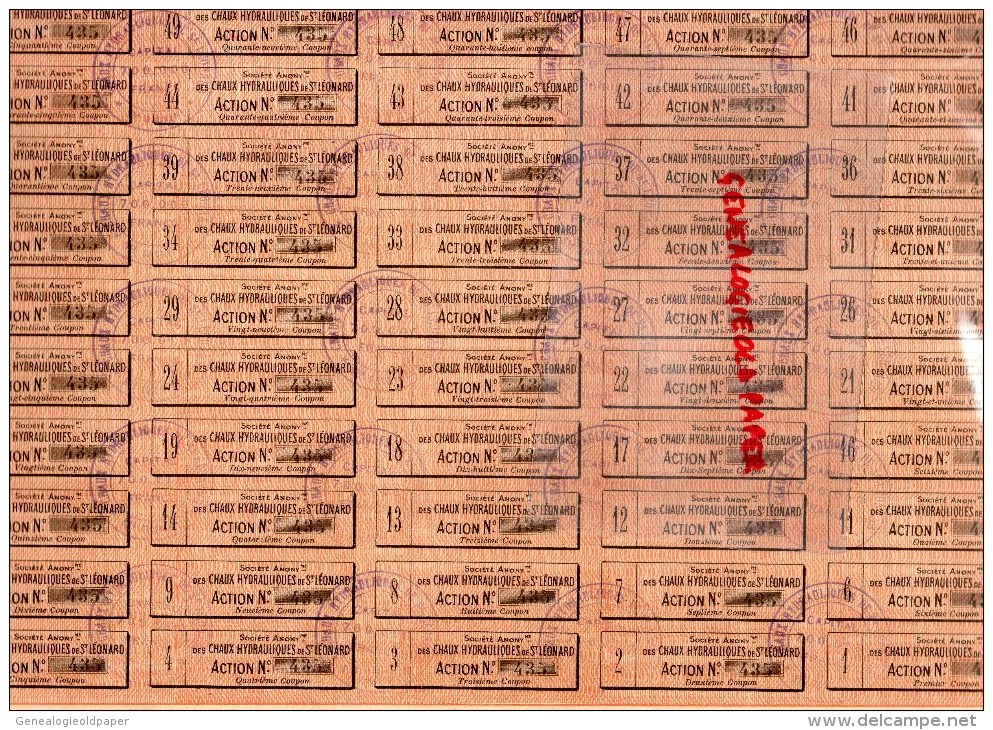 17 - DOMPIERRE SUR MER - RARE ACTION 250 FRANCS AU PORTEUR- CHAUX HYDRAULIQUES DE SAINT LEONARD- LA ROCHELLE 1ER-02-1921 - Andere & Zonder Classificatie