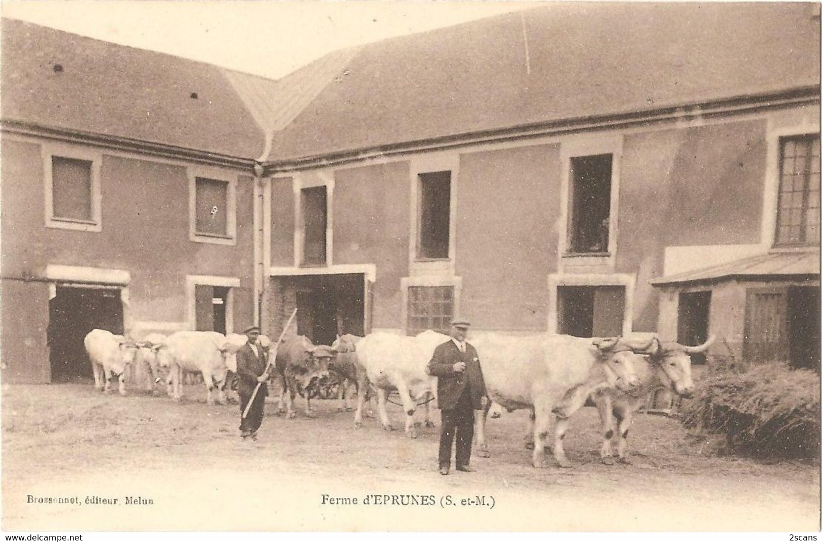 Dépt 77 - RÉAU - Ferme D'Éprunes - (attelage De Boeufs) - Brossonnot, éditeur - (environs De Savigny-le-Temple) - Altri & Non Classificati