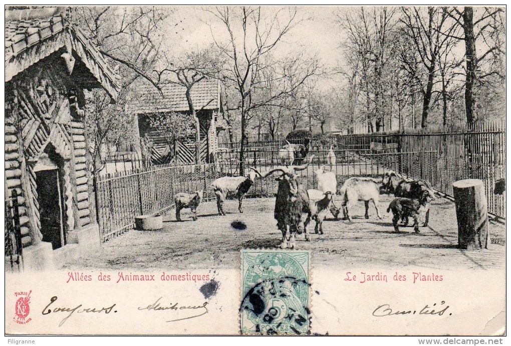 LE JARDIN DES PLANTES Allees Des Animaux Domestiques - Parcs, Jardins