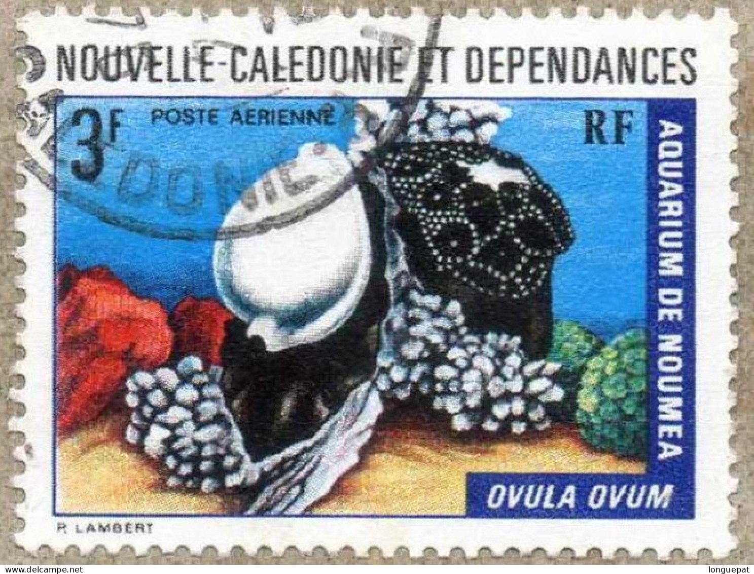 Nelle CALEDONIE : Ovula Ovum - Mollusques Gastéropodes - Famille Des Ovulidae - - Used Stamps