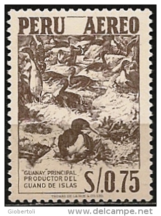 Peru/Pérou: Cormorano, Guano, Concime, Cormorant Guano, Manure, Guano Cormorant, Le Fumier - Albatrosse & Sturmvögel