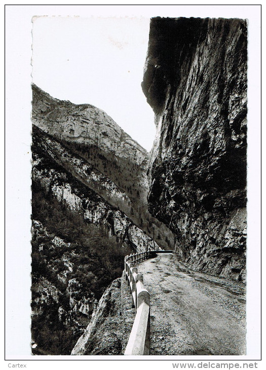 Carte Photo !  Format  Cpa  : L'Impressionnante Route De Frou Dominant Les Gorges Du Guiers Vis  1962  ( 703 ) - Autres & Non Classés