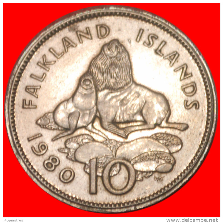 * GREAT BRITAIN ADDITIONAL CHAMFER ★ FALKLAND ISLANDS ★ 10 PENCE 1980 TYPE 1974-1992!LOW START&#9733;NO RESERVE!!! - Malvinas