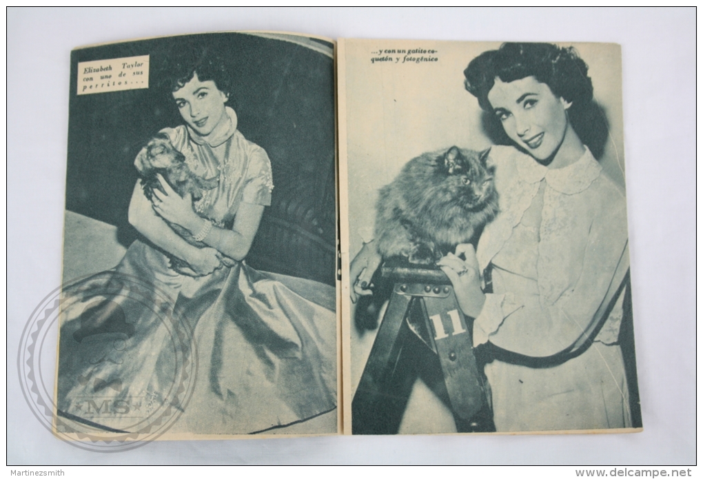 Old 1950´s Small Magazine Cinema/ Movie Actors - 28 Pages, 12 X 16 Cm - Actress: Elizabeth Taylor - Revistas