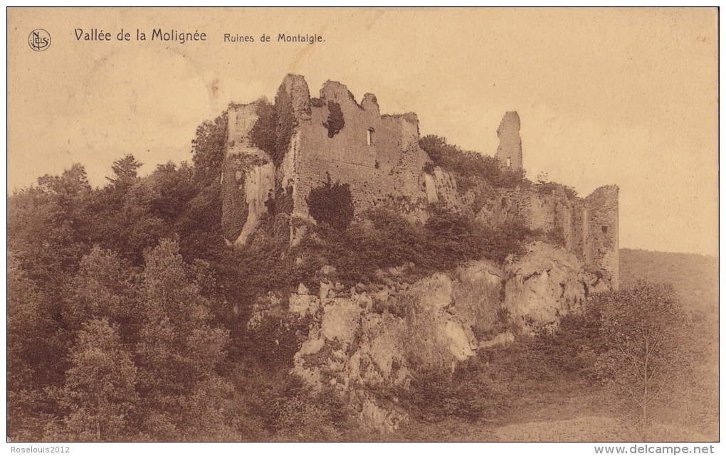 MOLIGNEE : Ruines De Montaigle - Onhaye