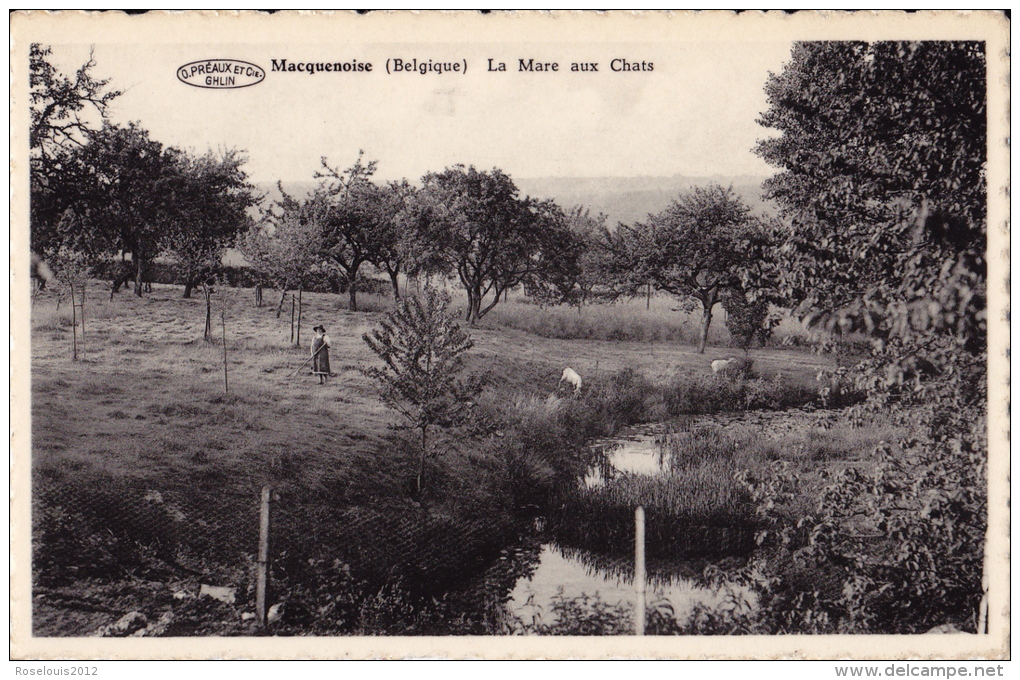 MACQUENOISE : La Mare Aux Chats - Momignies