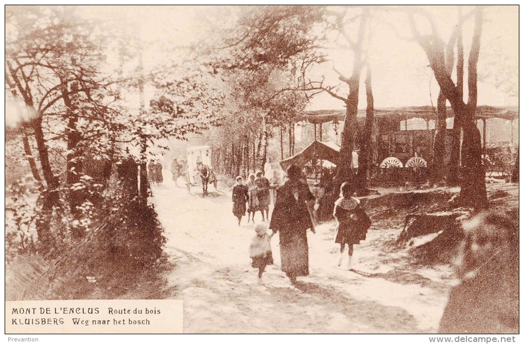 MONT De L´ENCLUS - KLUISBERG - Route Du Bois - Weg Naar Het Bosch - Mont-de-l'Enclus