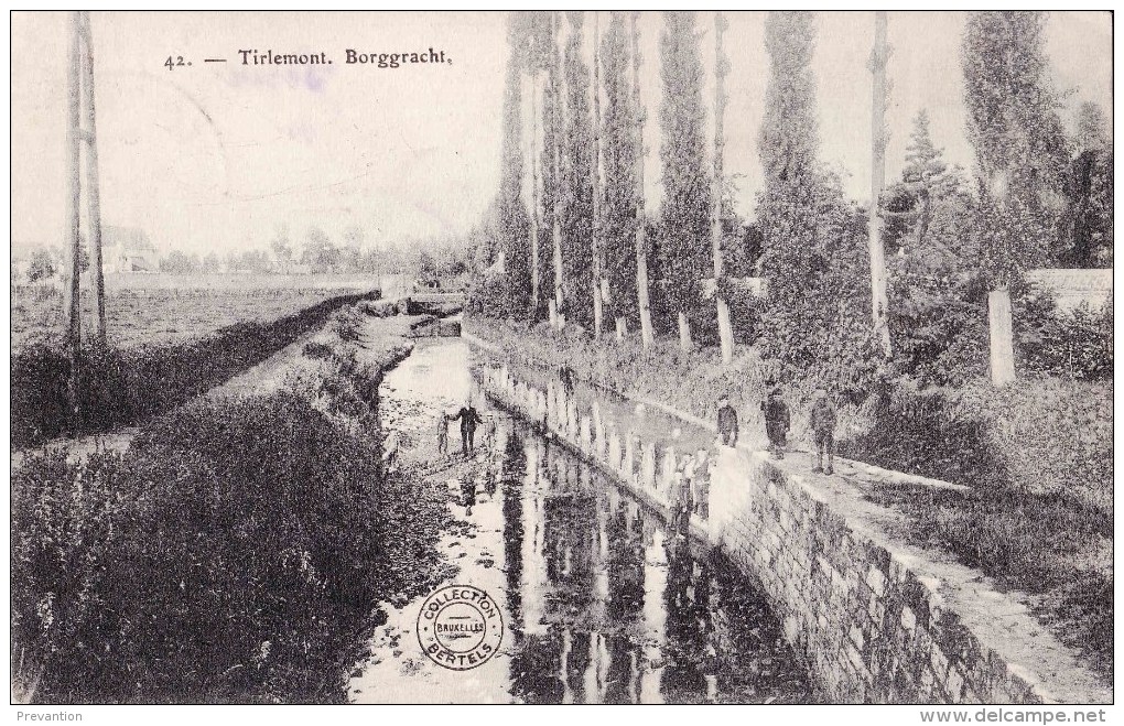 TIRLEMONT - Borggracht - Tienen