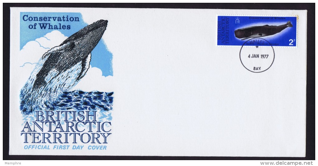 1977  Sperm Whale   Unaddressed FDC - FDC