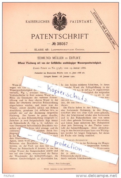 Original Patent  - Edmund Müller In Erfurt , 1886 , Offener Fischweg , Fischerei , Fischzucht , Fisch !!! - Historische Dokumente