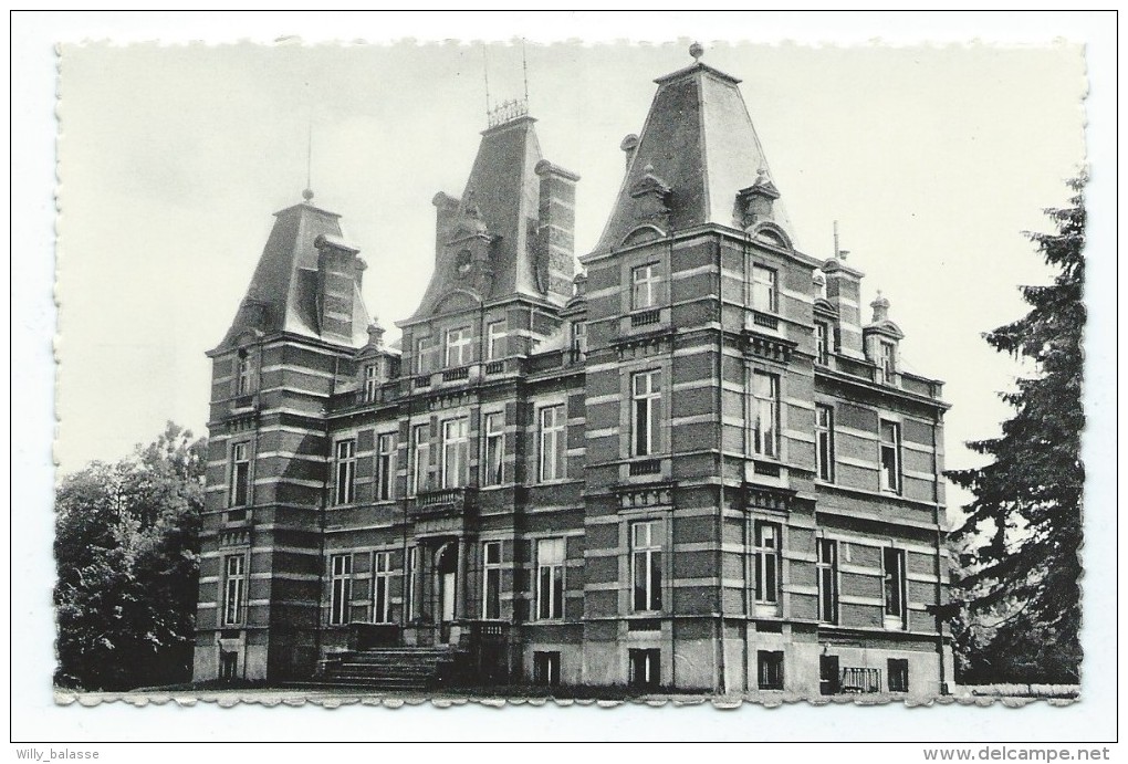 Carte Postale - ROSEE - Château Du Comte Van Der Stegen De Schrieck - CPA   // - Florennes