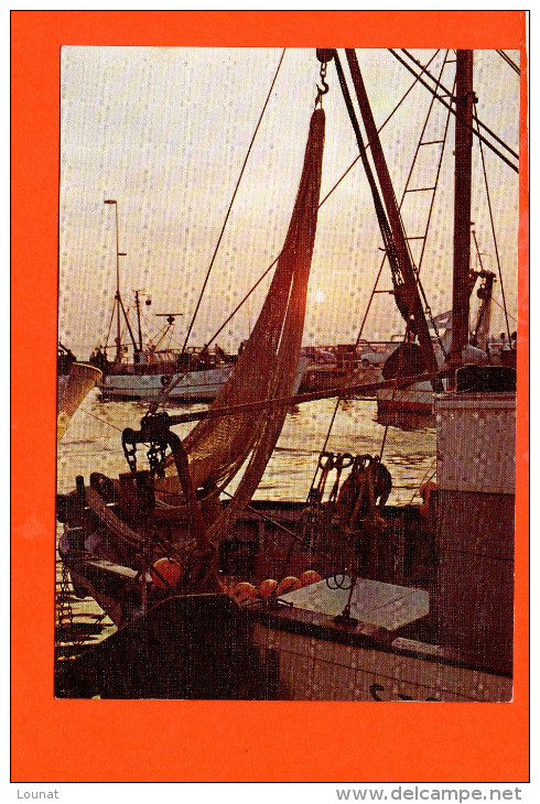 Bateaux De Pêche - Fishing Boats