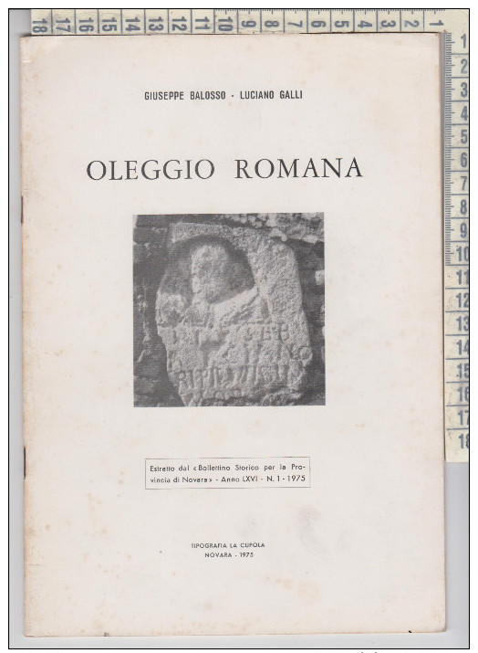 Libro Oleggio Romana Di Balosso/galli  Bollettino Storico Novara  Oleggio Con Autogeafo Galli - Altri & Non Classificati