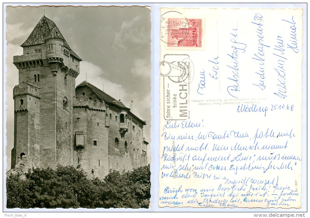 4) AK 2344 Maria Enzersdorf Am Gebirge Burg Liechtenstein Wienerwald Österreich Niederösterreich Austria Autriche - Maria Enzersdorf