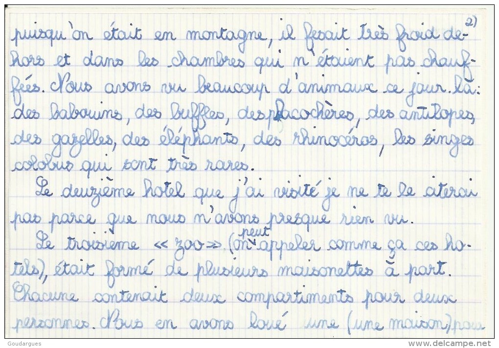 Tigre- Au Dos Une Feuille De Cahier Collée Qui Empêche De Voir Toutes Les Indications - Tigers