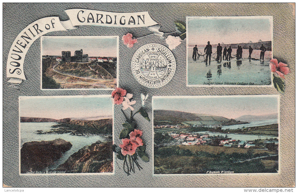 SOUVENIR OF CARDIGAN - Cardiganshire