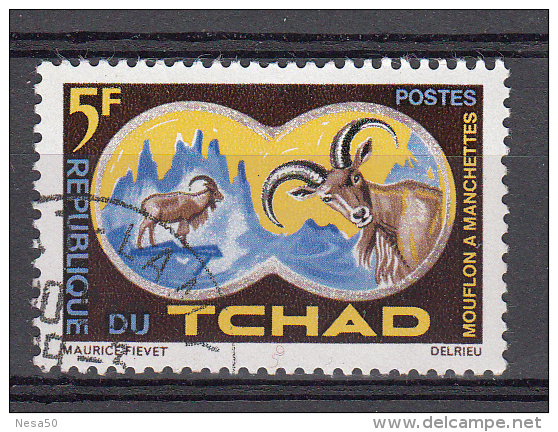 Tchad 1965 Mi Nr 129 Animal, Manenschaap, Barbary Sheep - Tsjaad (1960-...)