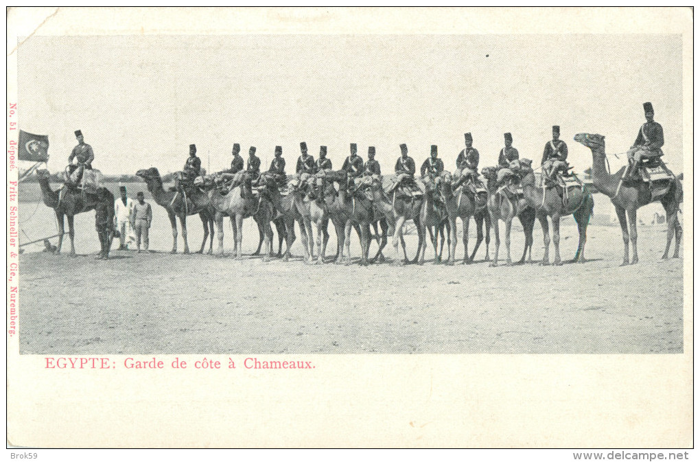 EGYPTE - GARDE DE COTE A CHAMEAUX - Autres & Non Classés