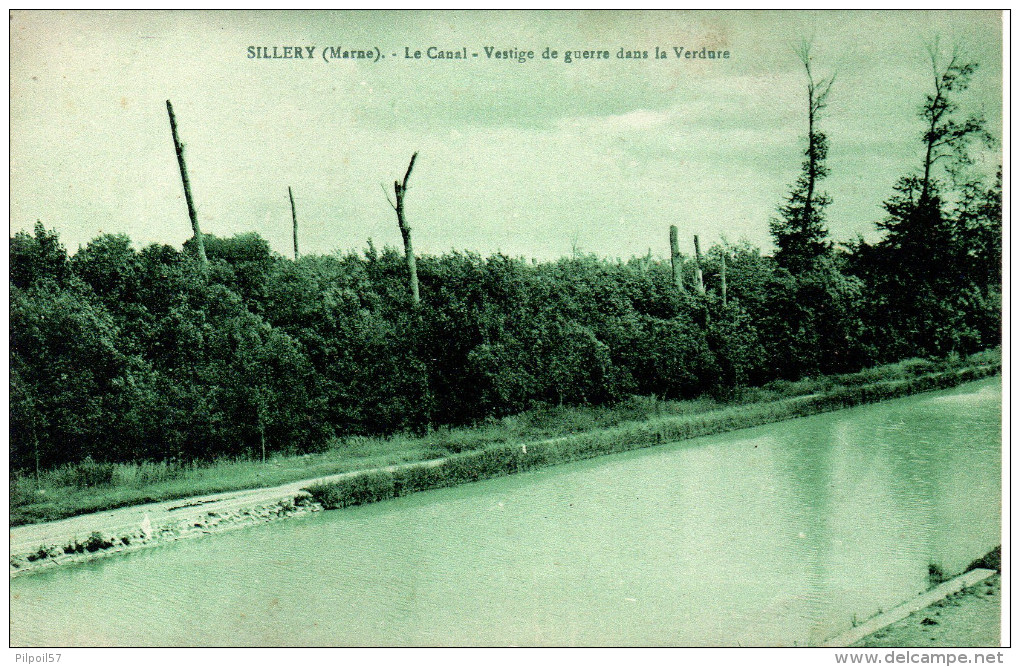 51 SILLERY Le Canal - Vestige De Guerre Dans La Verdure - Sillery