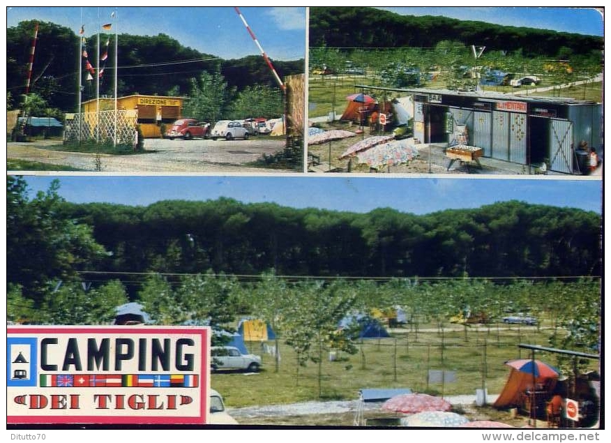 Viareggio - Torre Del Lago Puccini - Camping Dei Tigli - 9839 - Formato Grande Viaggiata - Viareggio