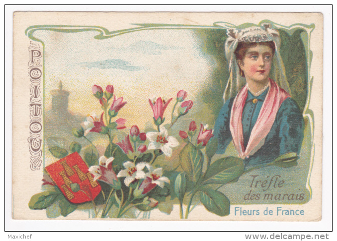 Image Illustrée 7.1 X 10.5 - Collection "Fleurs De France", Le Trèfle Des Marais, Poitou (Poitevine, Trèfle, Blason) - Collections