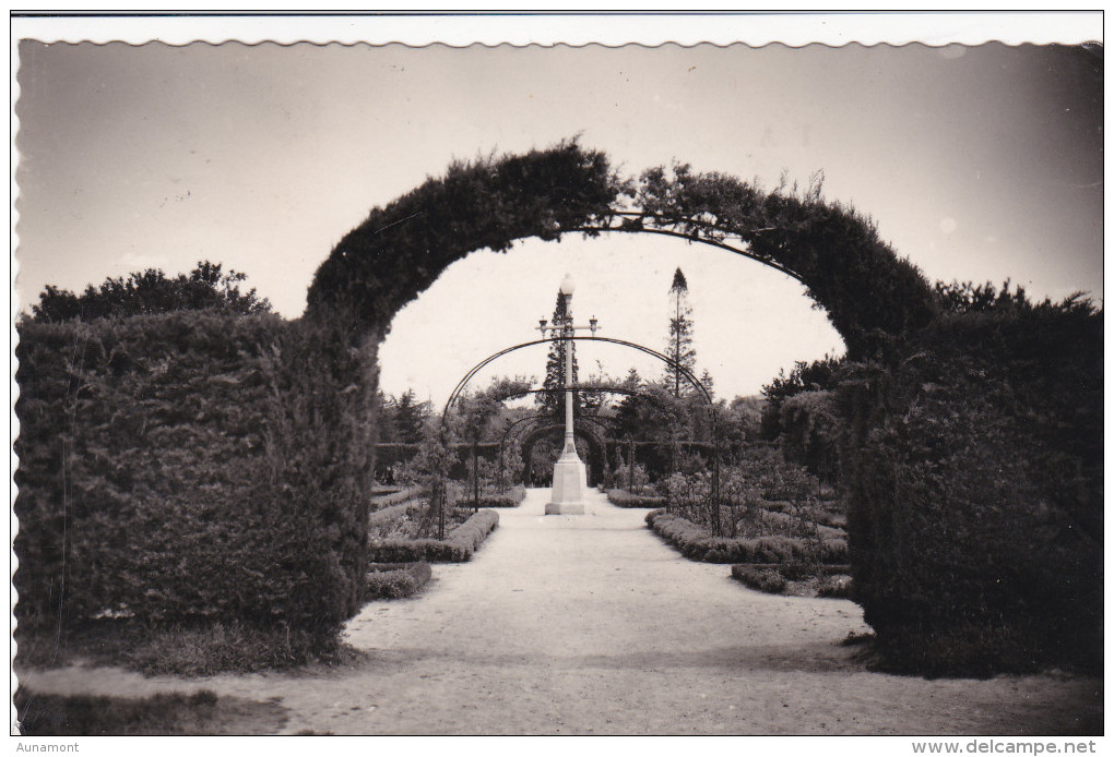 España--Soria--1956--Alameda De Cervantes--La Rosaleda--Fechador--Soria--a, Belgica - Soria