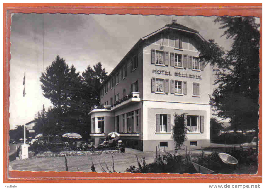 Carte Postale 74. Messery  Lac Leman  Hotel Bellevue Du Clos Ste-Marie  Trés Beau Plan - Messery