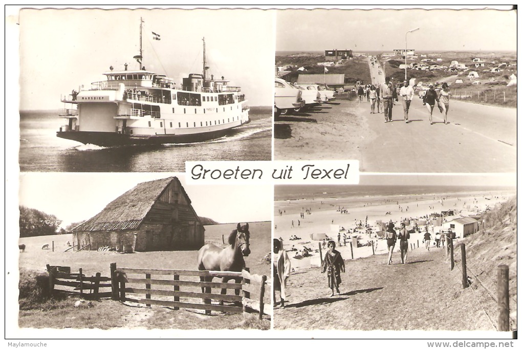 Texel - Texel