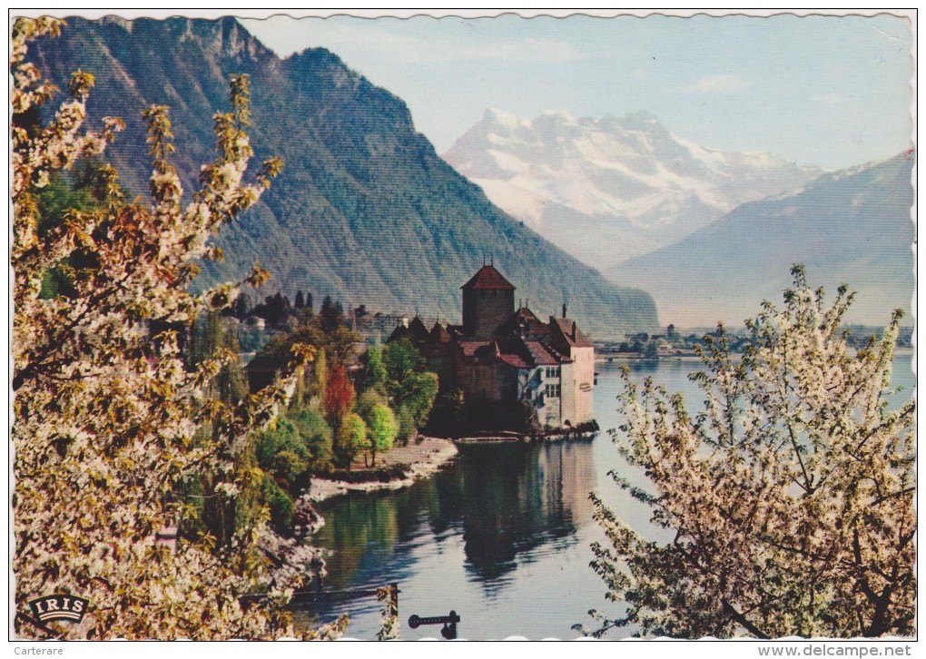 SUISSE,SWITZERLAND,SWISS, HELVETIA,SCHWEIZ,SVIZZERA ,MONTREUX ,VAUD,RIVIERA PAYS D´ENHAUT,chateau Chillon,lac Léman - Montreux