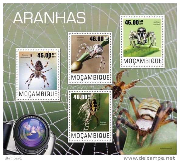 Mozambique. 2014 Spiders. (415a) - Spinnen