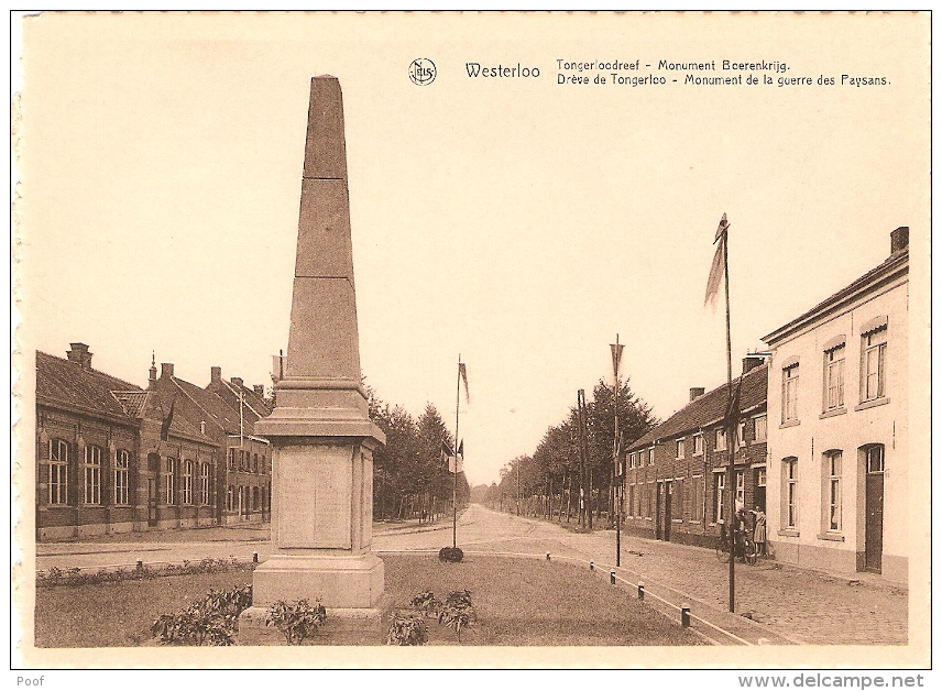 Westerloo : Tongerloodreef Met Monument Boerenkrijg - Westerlo